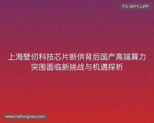 上海壁仞科技芯片断供背后国产高端算力突围面临新挑战与机遇探析
